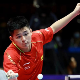 斯卡的适应 斯卡的适应