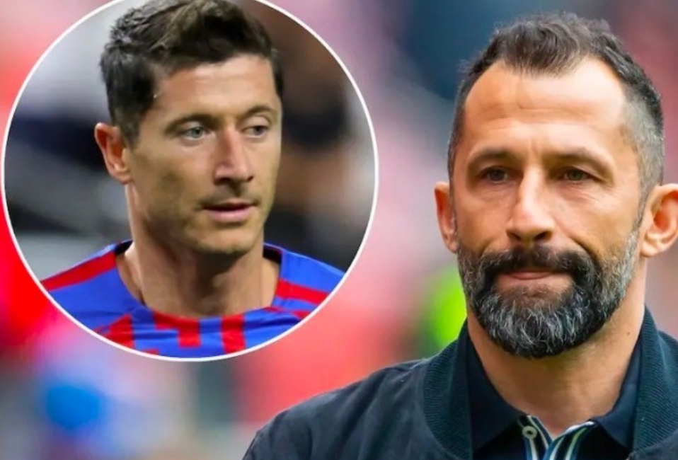 莱沃库森主 莱沃库森主