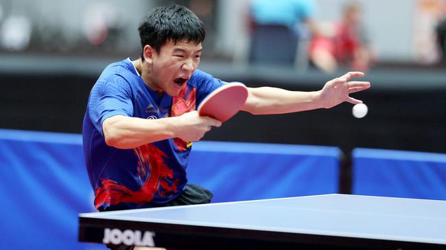 保持稳定的 保持稳定的